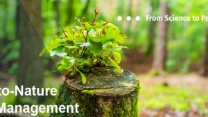 clores to nature EFI