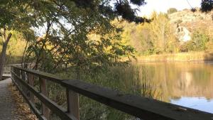 Duero en Soria by Concha Redondo