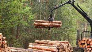 movilización madera