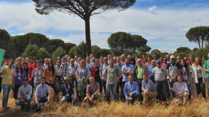 II Simposio pino pinonero