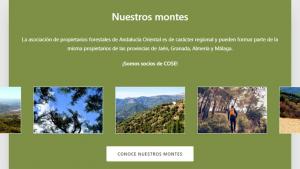 Asoc Propietarios Forestales Andalucía