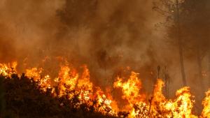 Incendio Forestal España