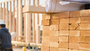 Programa formativo Maderaula para construcción eficiente e industrializada en madera