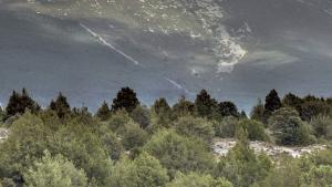 FITOCLIM cambio climático Cesefor