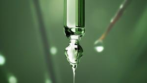 Del Bosque a tu Casa news