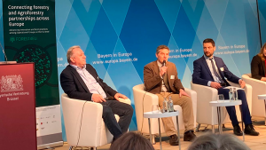 VI Taller de Innovación Forestal en Bruselas