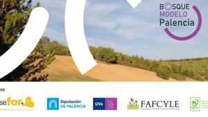 entidades consorcio bosque modelo Palencia