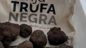 trufa para retechFOR