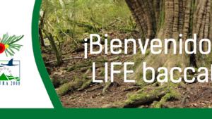 01_bienvenida-01.jpg