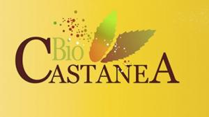 castanea.jpg