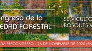 faf_jornada26_indforma.jpg