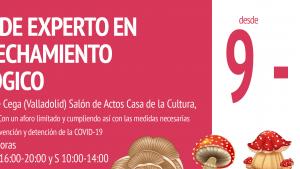 foto-curso.jpg