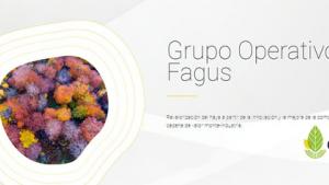 gofagus_indforma.jpg