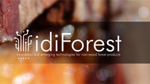 idiforest_indforma.jpg