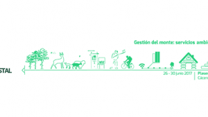 image003.png