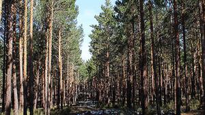 img_1583.jpg