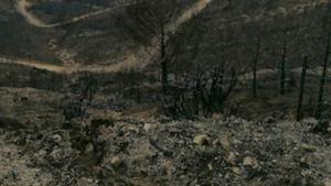 incendio.jpg