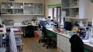 laboratorio_fitopatologia_1.jpg