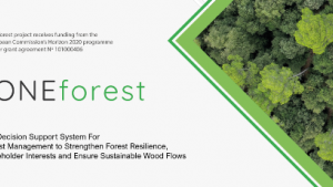 oneforest.png