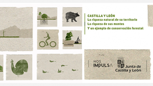 promo-videos-cesefor.png