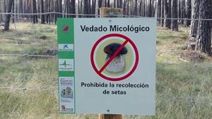 reservamicologica2.jpg