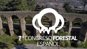 video-plasencia_7-congreso-forestal-espanol.jpg