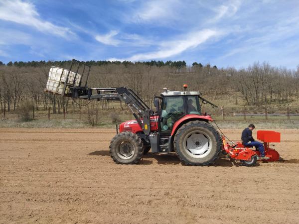 Siembra de lavanda para Biovalor en la finca experimental del Ceder 