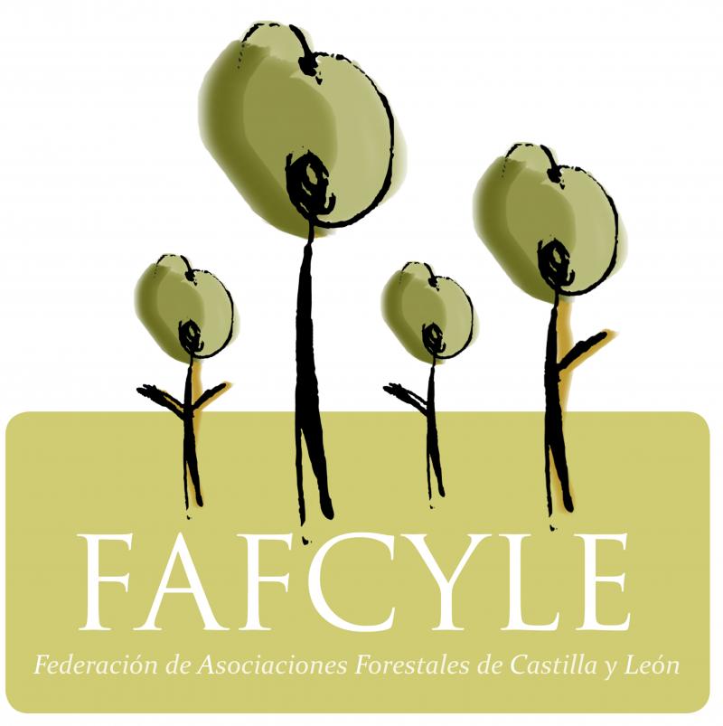 fafcyle