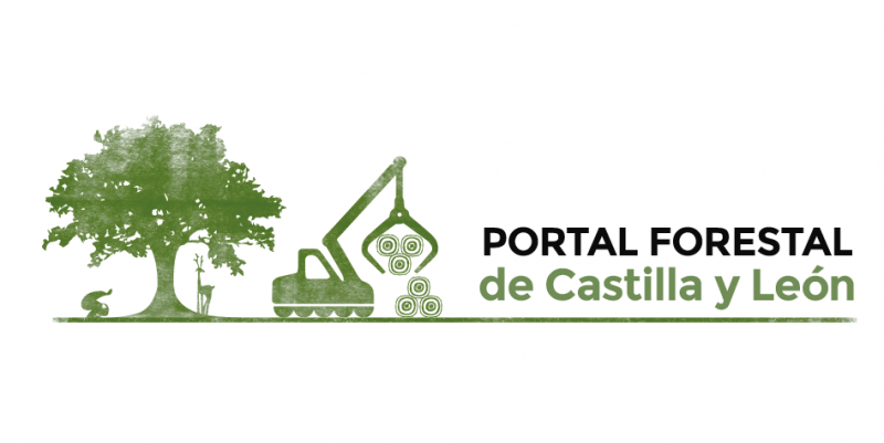 logo_pfcyl_fondo