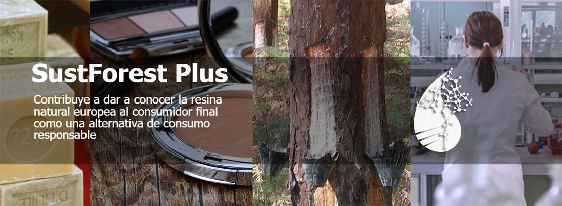 INTERREG Sudoe SustForest Plus noticias INTERREG Sudoe SustForest Plus noticias