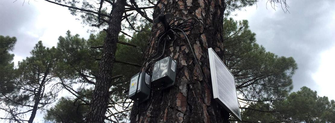 Sensores resina RESINLAB