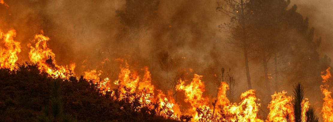 Incendio Forestal España Incendio Forestal España
