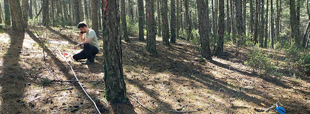 Estudio OneForest para evaluar el efecto de la gestión forestal en bosques mediterráneos