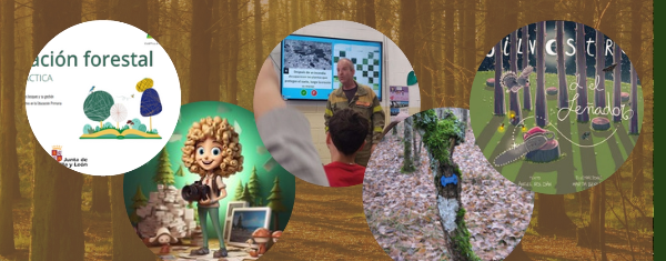 I Jornada Educacion Forestal