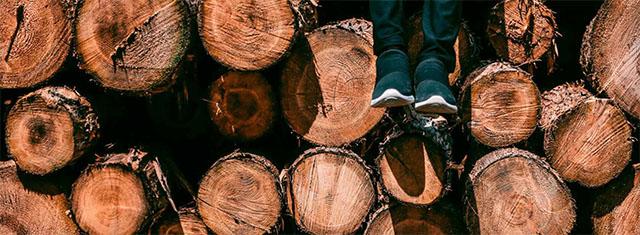 FAO Sustainability by Numbers