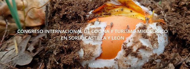 VIII Congreso Internacional ‘Soria Gastronómica VIII Congreso Internacional ‘Soria Gastronómica