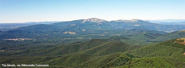 Bosques España Bosques España
