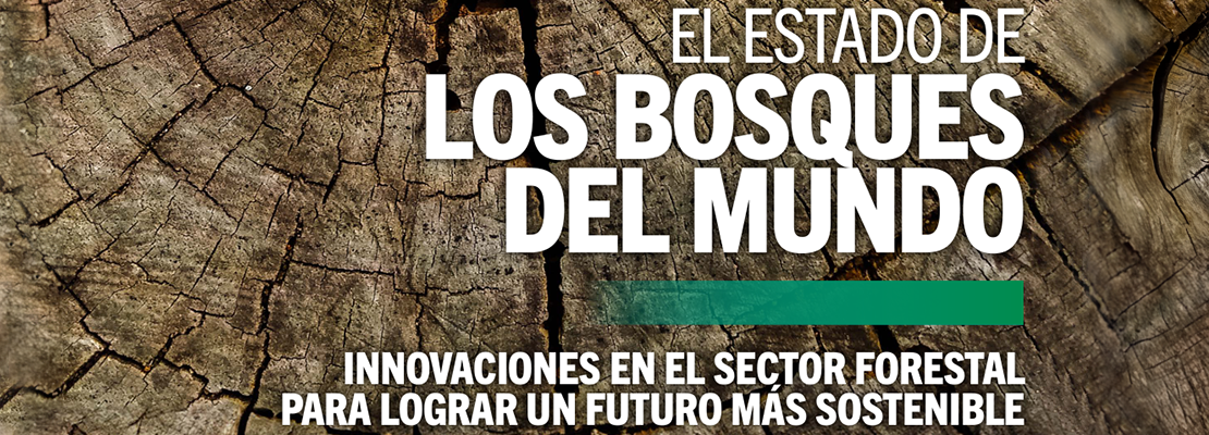 Estado de los bosques 2024 FAO