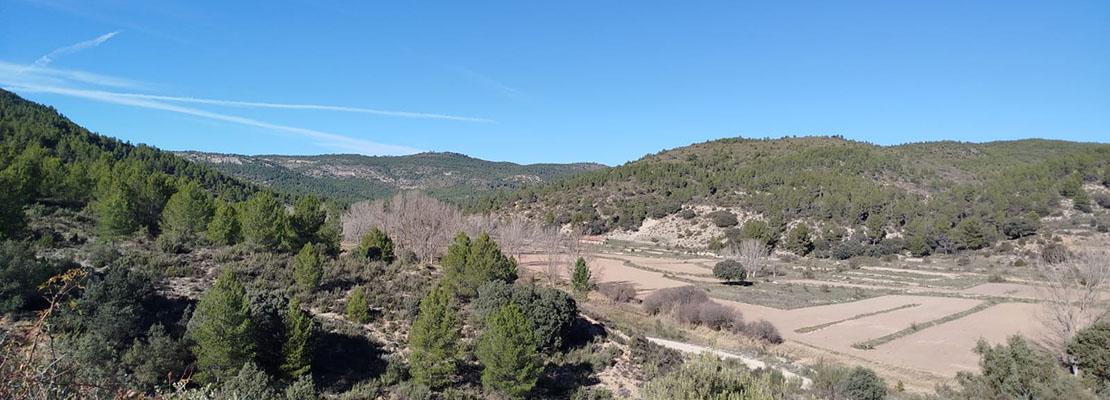 PILA selvicultura de cubierta continua