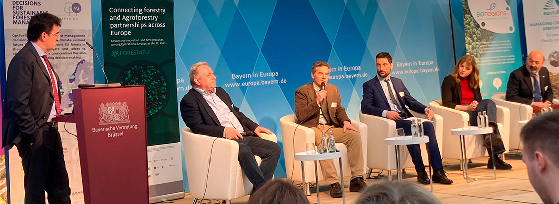 VI Taller de Innovación Forestal en Bruselas