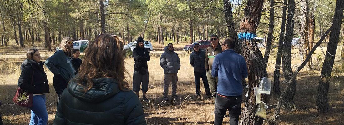 LivingLab resina COCA