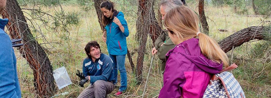 IMFOREST_living lab segovia