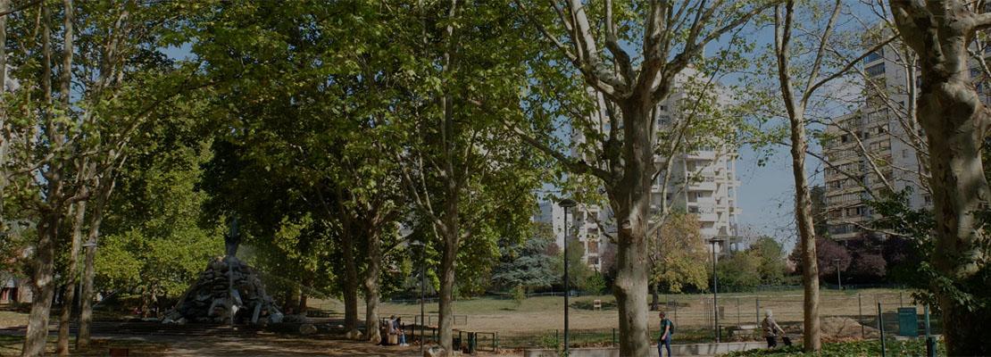 TREESURE arbolado urbano