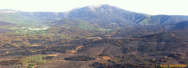 150809incendioacebocaceres1_tcm7-391528_noticia.jpg