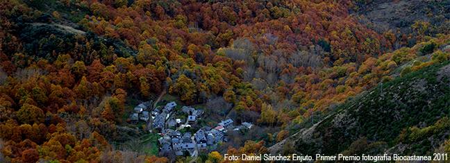1_premio_naturaleza_erase_una_vez_un_pueblo_rodeado_de_castanos.jpg