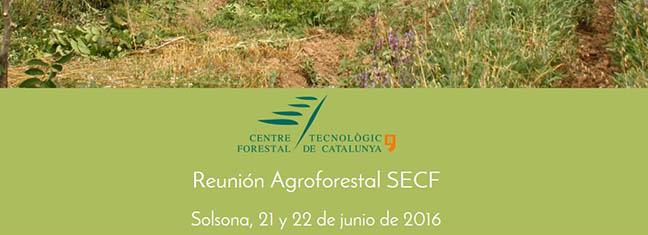 agroforestal.jpg