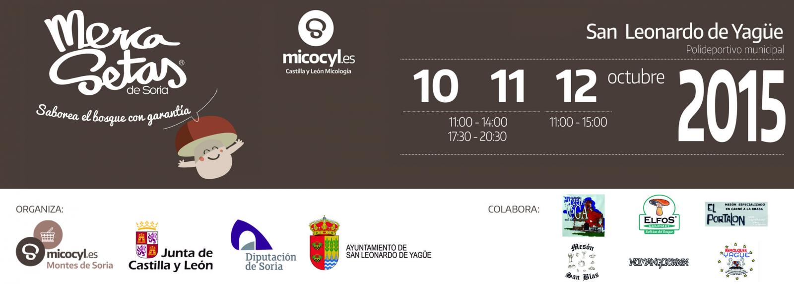 anuncio_pinares_copia.jpg