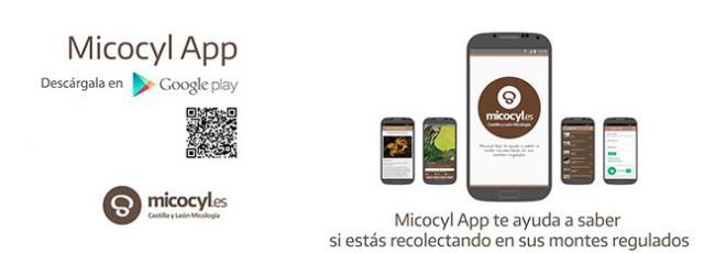 app2.jpg