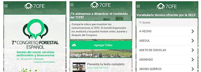 app4.jpg
