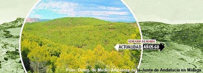 bosques-660x371.jpg